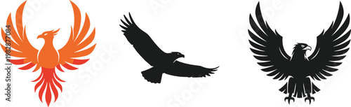 Vector Set of Phoenix and Eagle Silhouettes in Different Flight Poses for Mythology, Wildlife, and Fantasy Designs