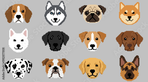 Collection of various dog breeds illustration.
