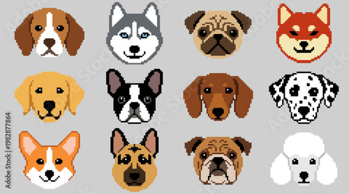 Collection of various dog breeds faces.