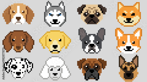 Collection of various cartoon dog breeds.