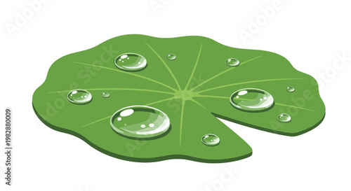 A vibrant green lily pad floats horizontally while supporting several clear glistening water droplets of various sizes under bright natural lighting rays.