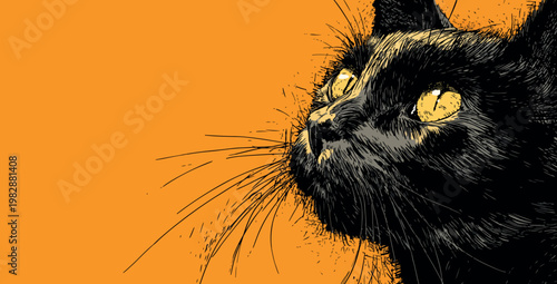 Curious Black Cat with Yellow Eyes on Orange Background
