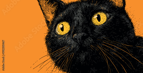Curious Black Cat with Yellow Eyes on Orange Background
