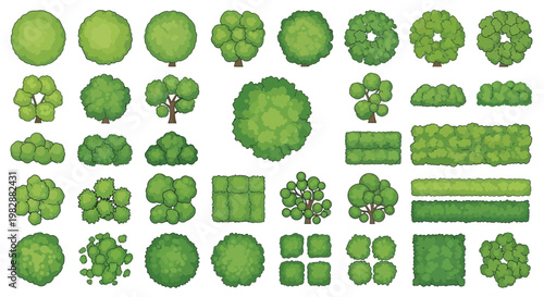 Collection of various green trees and shrubs viewed from above