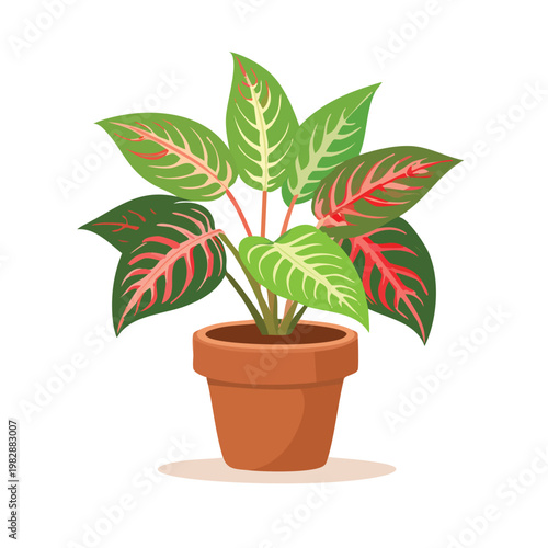 Colorful houseplant in a terracotta pot illustration against a white backdrop