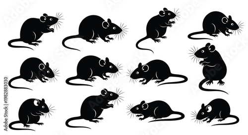 Collection of black silhouette rat illustrations in various poses