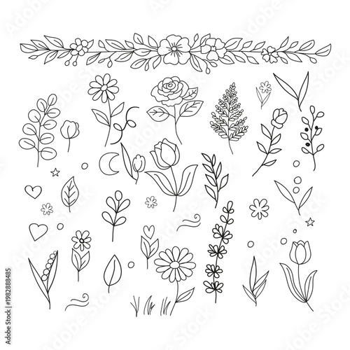 hand drawn floral elements, Minimalist Botanical Line Drawing of Flowers and Plants