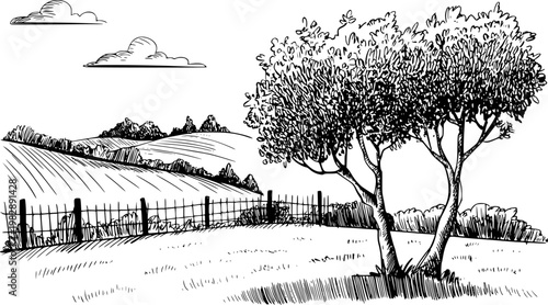 Hand-drawn of rolling farmland with trees, fence, and clouds white background rural