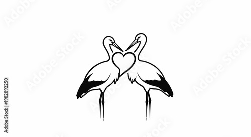 Two storks form a heart shape with their necks on a white background