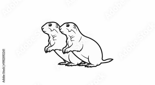 Two prairie dogs stand alert, side-by-side, with outline details