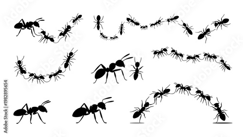 Ant Silhouette Icon Set Insect Colony Trail Black Vector Collection