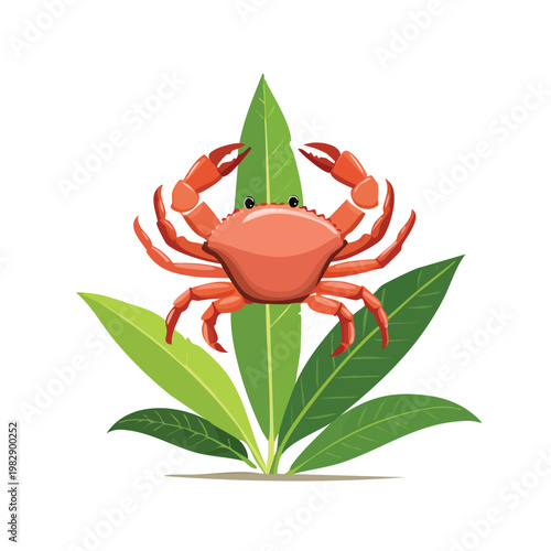 Vibrant red crab illustration with green leaves isolated on white background