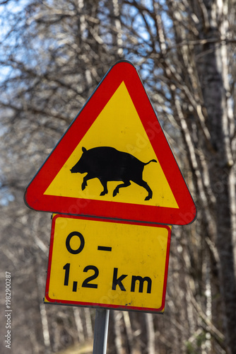 Akersberga, Sweden A wild boar warning sing on the road.