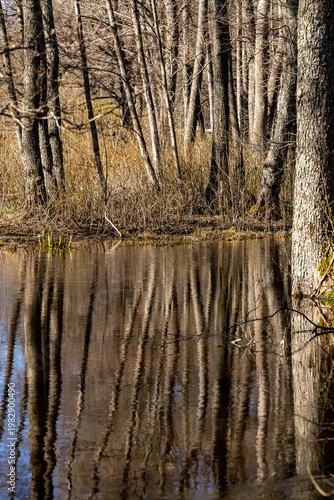 Wira Bruk, Sweden Tree reflections in a small stream in this historic iron works village,.