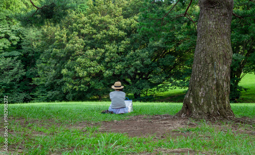 beautiful public park in Tokyo Japan