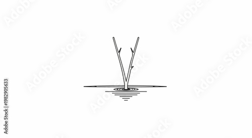 Simple outline drawing of a plant stem splitting into two branches with roots in water