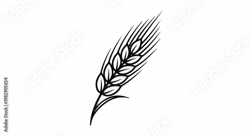 Stylized illustration of a single ear of wheat on a white background
