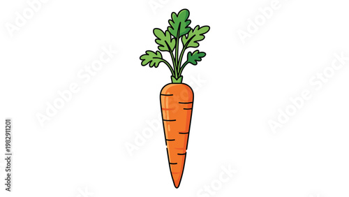 Realistic vector illustration of a fresh orange carrot with vibrant green leaves shown in a simple vertical orientation.