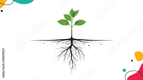 Educational illustration of a young plant seedling with its root system growing deep into the soil beneath the surface.