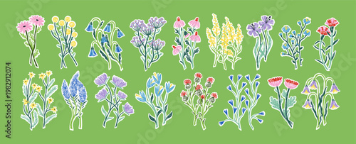 Hand-drawn field flowers set. Spring wild herbs, meadow floral plants, summer herbal blossoms. Drawings of wildflowers, blooms and leaves. Handdrawn vector illustrations isolated on white background