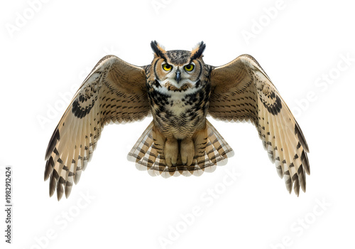 Majestic Great Horned Owl with its impressive wings spread wide in flight captured in sharp detail isolated on transparent background