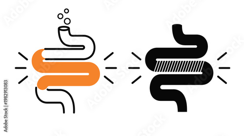Human digestive system illustration stomach and intestines depicted in two color schemes