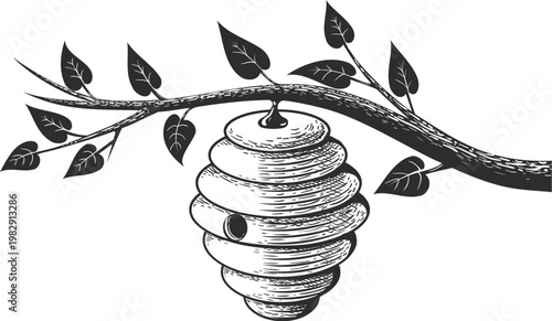 Beehive on branch engraving