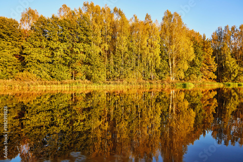 Tranquil River Reflections of Autumn Trees