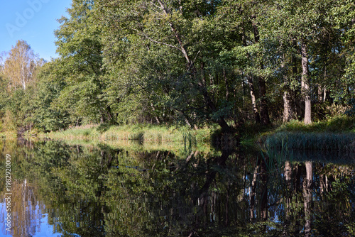 Tranquil River Reflections of Autumn Trees