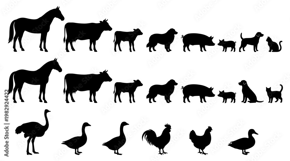 Fototapeta premium Farm Animal Silhouettes Collection Isolated on White Background with Shallow Depth of Field Focus