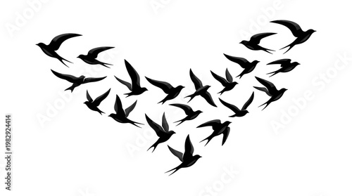 Flock of Birds in V-Formation Flight on White Background with Shallow Depth of Field