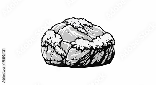 A large gray boulder with white bushy plants growing around its base and top