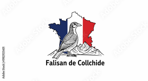 Illustration of a bird on mountains, with France map behind