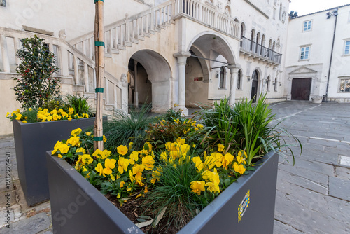 Foto Porzione architettonica antica con archi in piazza Tito a Capodistria