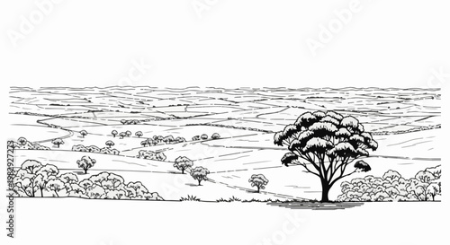 Extensive rolling hills with scattered trees, fields, and winding paths under a clear sky