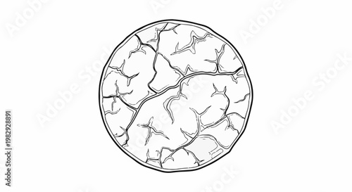 Circular graphic with intricate, branching lines resembling a network or organic structure