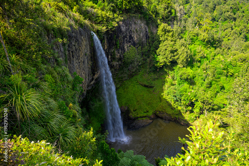 Bridal veil falls Waireinga New Zealand tropical forest landscape