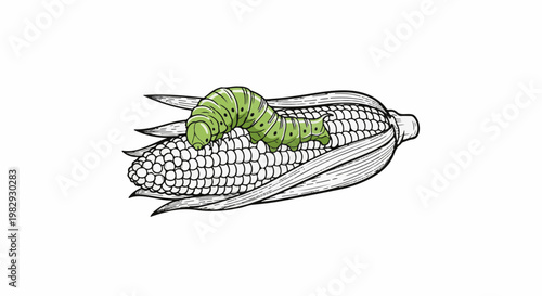 Green caterpillar crawls on a detailed illustration of an ear of corn