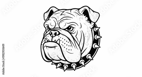 Fierce bulldog face with spiky collar, black and white illustration