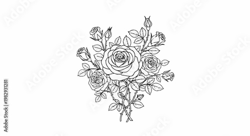 Detailed line drawing of a bouquet of roses with buds and leaves
