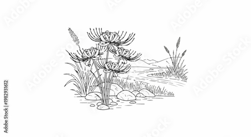 Delicate flowers by a winding stream with distant hills