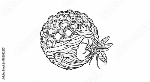 Wasp tending to its hexagonal comb nest, a detailed line drawing