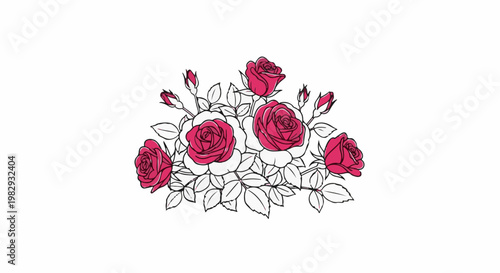 Pink and white roses with green leaves and buds, hand-drawn style