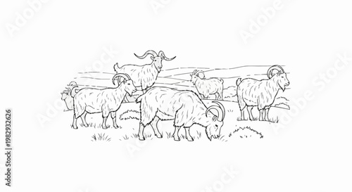 Herd of goats grazing peacefully in a grassy meadow with distant hills