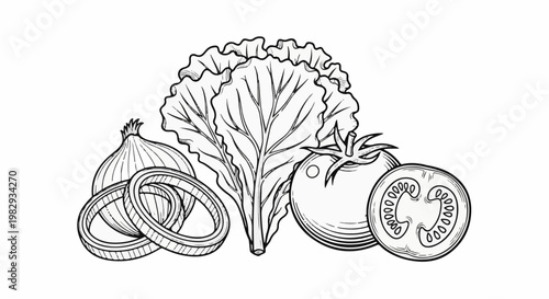 Sketch of a whole onion, onion rings, a lettuce leaf, a whole tomato, and a tomato slice