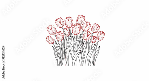 A cluster of pink tulips and green leaves in a simple sketch