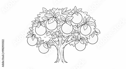 A black and white line drawing of a fruit tree with numerous round fruits and leaves