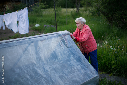 Elderly woman working in a garden, covering a small greenhouse with plastic, rural countryside lifestyle scene.