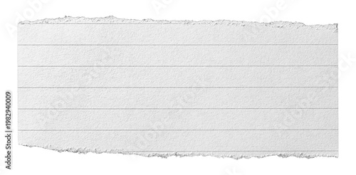 Isolated torn ripped piece of blank ruled paper memo note with lines and copy space for text, transparent png background design element