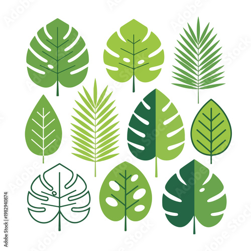Collection of Green Leaves and Foliage Shapes